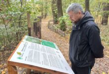 Нова екологічна стежка зʼявилася у Голосіївському парку. Фото: Національний природний парк "Голосіївський".
