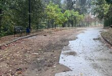 Активісти вимагають відновити благоустрій Солом’янського парку. Фото: Солом'янський Парк