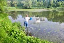 Очищення Оріхуватських ставків. Фото: КП УЗН Голосіївського району