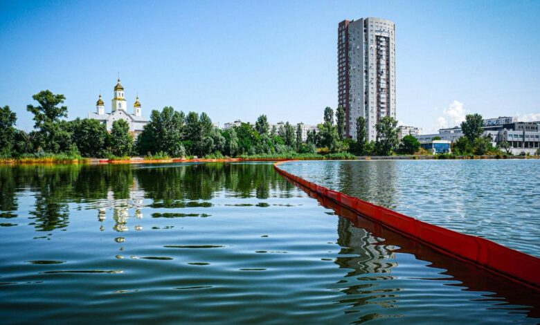 Озеро Кирилівське в Києві. Фото: КМДА