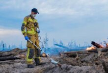 Пожежа в Чорнобильській зоні. Фото: ДСНС Київщини