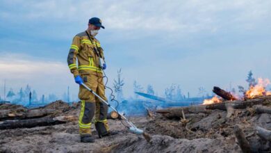 Пожежа в Чорнобильській зоні. Фото: ДСНС Київщини