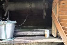 Колодязь в історичній місцевості Китаїв. Фото: Національний природний парк Голосіївський