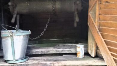 Колодязь в історичній місцевості Китаїв. Фото: Національний природний парк Голосіївський
