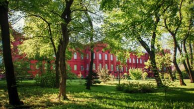 КНУ ім. Шевченка. Фото: КМДА