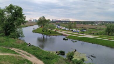 Річка Ірпінь на Київщині. Фото: УНІАН