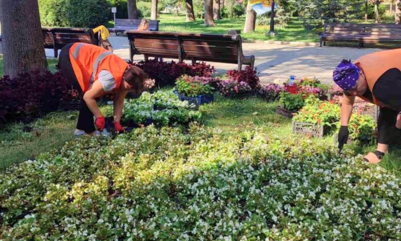 Озеленювачі висаджують квіти на клумбах у парку Шевченка. Фото: КО «Київзеленбуд»