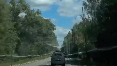 Антидронова сітка на Київщині. Фото: скриншот з відео з соцмереж