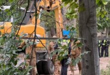 Територія у парку на Теремках, де збираються будувати резервну треплотрасу. Фото: Суспільне Новини/Станіслав Свирид