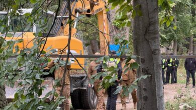 Територія у парку на Теремках, де збираються будувати резервну треплотрасу. Фото: Суспільне Новини/Станіслав Свирид